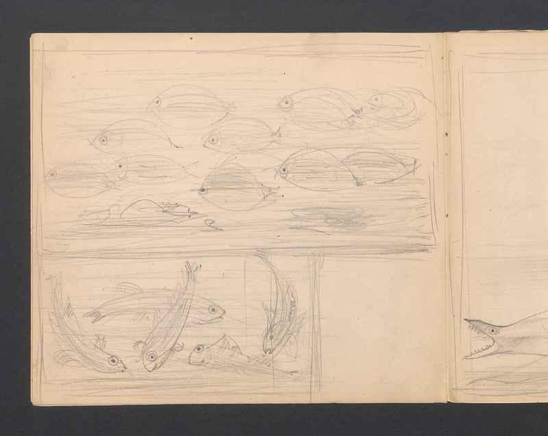 Stwory morskie, część I