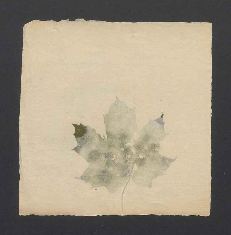 Zaproszenie na otwarcie panoramy "Popioły"