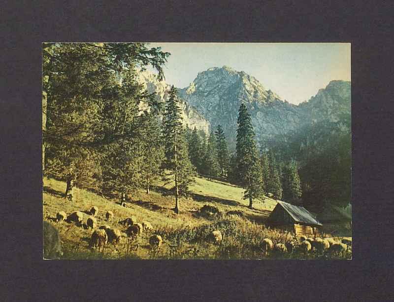 Tatry Zachodnie. Szałasy pasterskie na Hali Strążyskiej