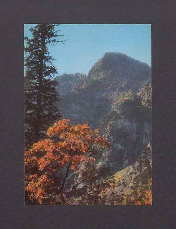 Tatry Wysokie. Mięguszowiecki Szczyt