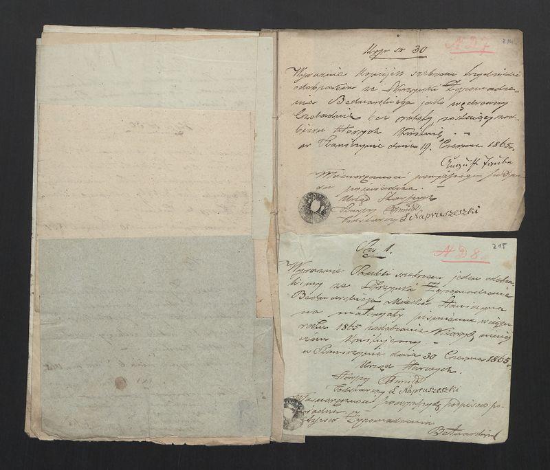 Dowody Usprawiedliwiające Rachunek Zgromadzenia Bednarzy w Mieście Stawiszynie uformowany za rok 1863, 1864 do dnia 11/23 Lipca 1865 r.