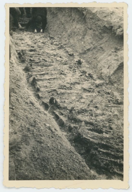 Ekshumacje zwłok pomordowanych pod Kaliszem w czasie II Wojny Światowej