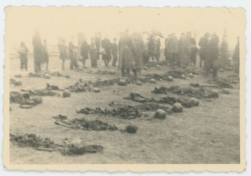 Ekshumacje zwłok pomordowanych pod Kaliszem w czasie II Wojny Światowej