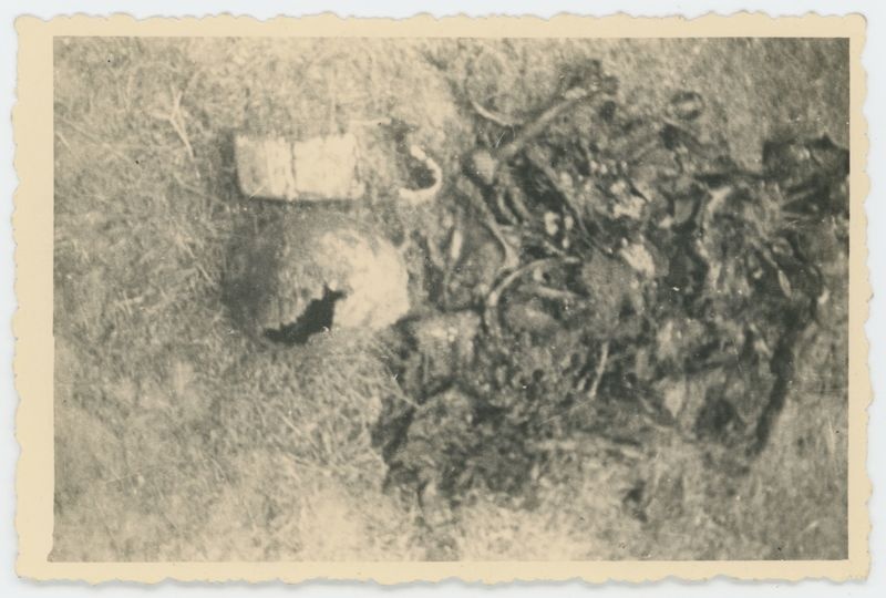 Ekshumacje zwłok pomordowanych pod Kaliszem w czasie II Wojny Światowej