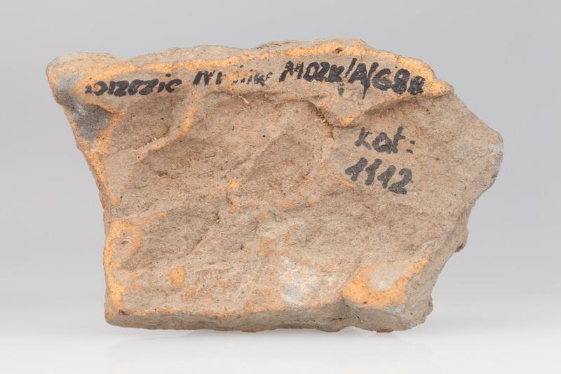 fragment naczynia jeżowatego 