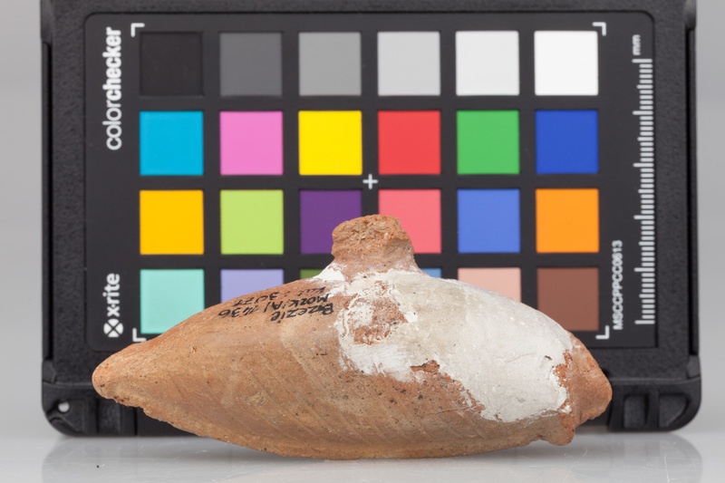 Grzechotka ornitomorficzna zdobiona ornamentem rytym.