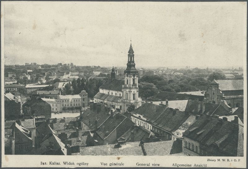 Kalisz. Widok ogólny