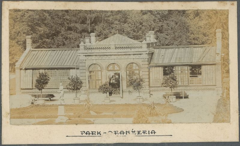 Park - Oranżeria