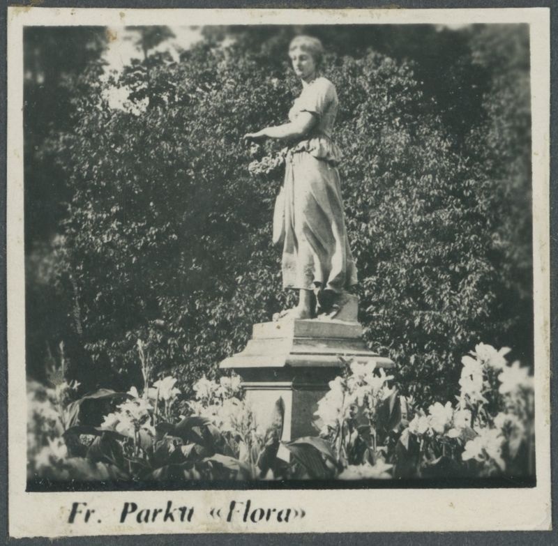 Fragment parku, Flora