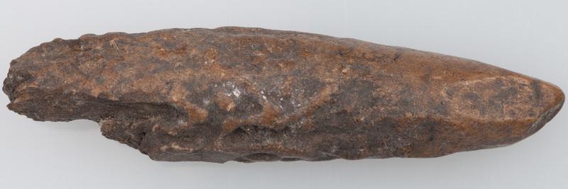 Poroże półsurowiec