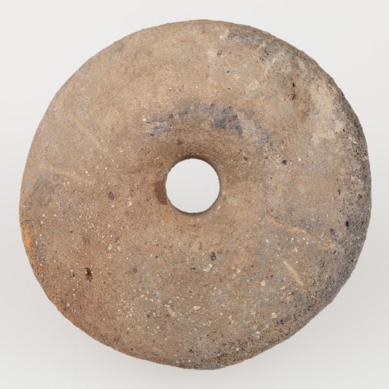 Przęślik dwustożkowaty, zdobiony parami skośnych linii rytych