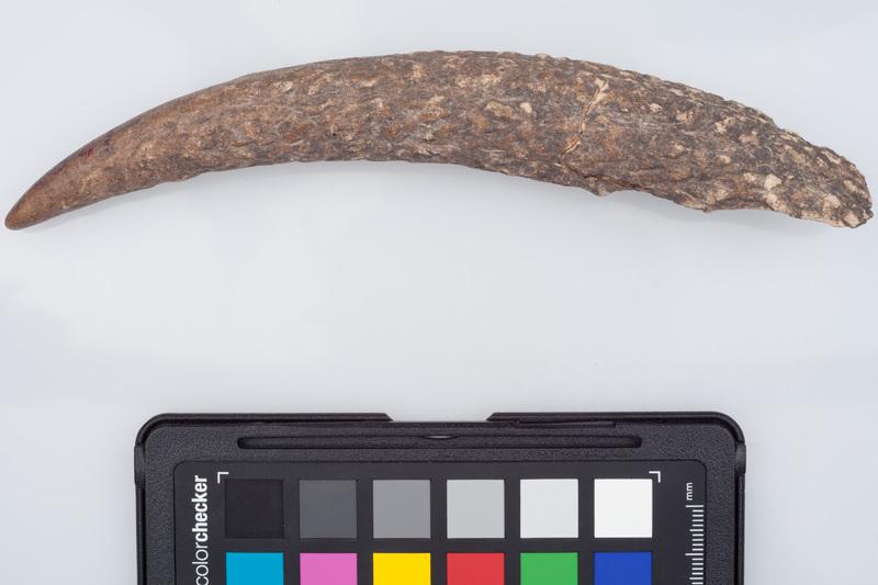 Półfabrykat z poroża