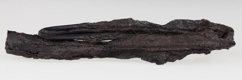 Żelazny grot włóczni o długim ostrzu, widocznym żeberku i okrągłej tulejce