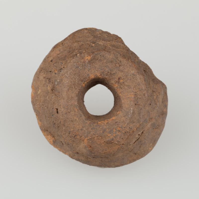 Przęślik gliniany dwustożkowaty