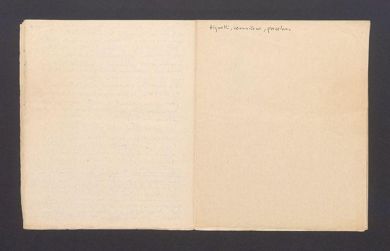 Notatki z Chin, diariusz podróży, cz. 1