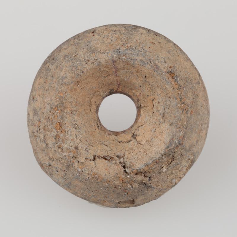 Przęślik gliniany dwustożkowaty