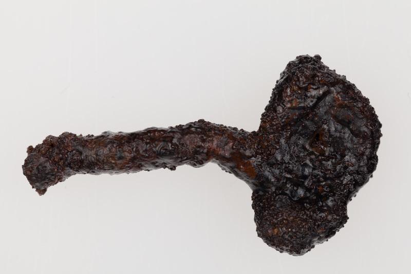 Fragment żelaznej szpili pastorałowatej