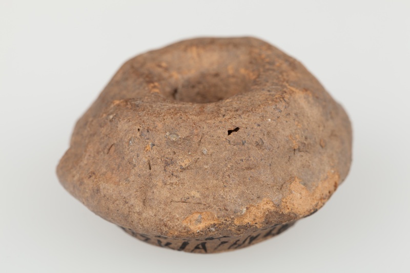 Przęślik gliniany dwustożkowaty