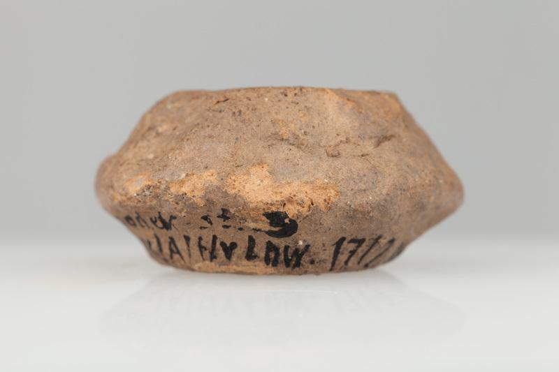 Przęślik gliniany dwustożkowaty