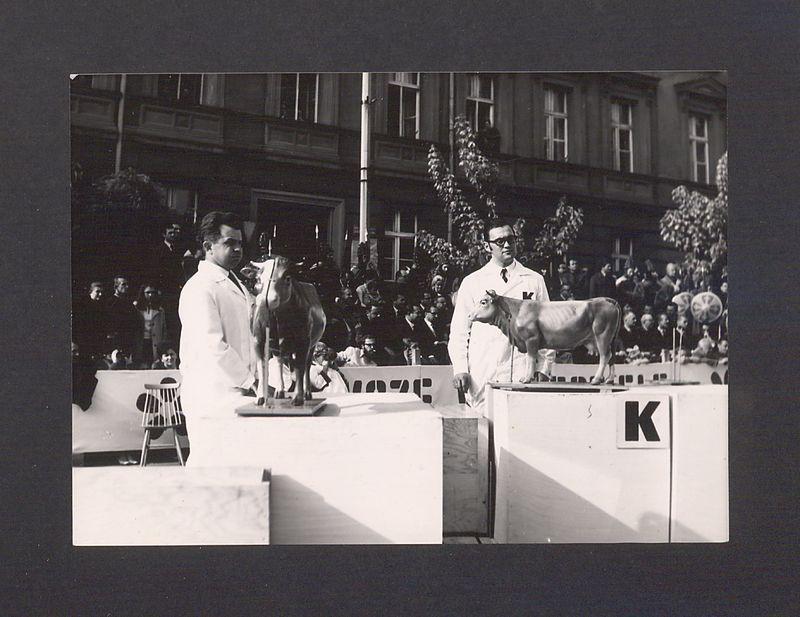 Turniej Miast Kalisz – Gniezno.