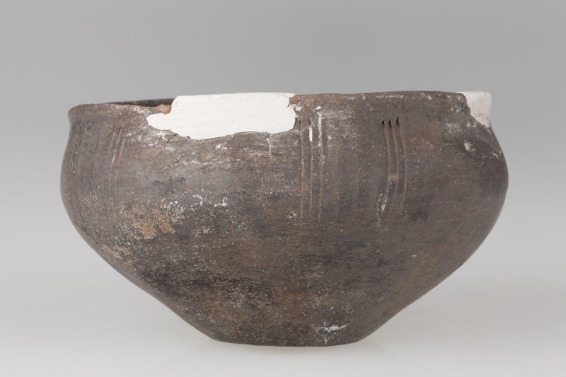 Misa z baniastym brzuścem