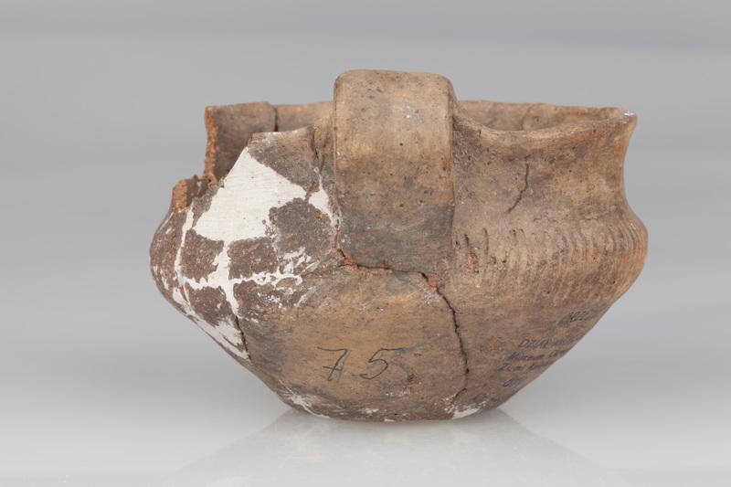 Czerpak z dwustożkowatym brzuścem