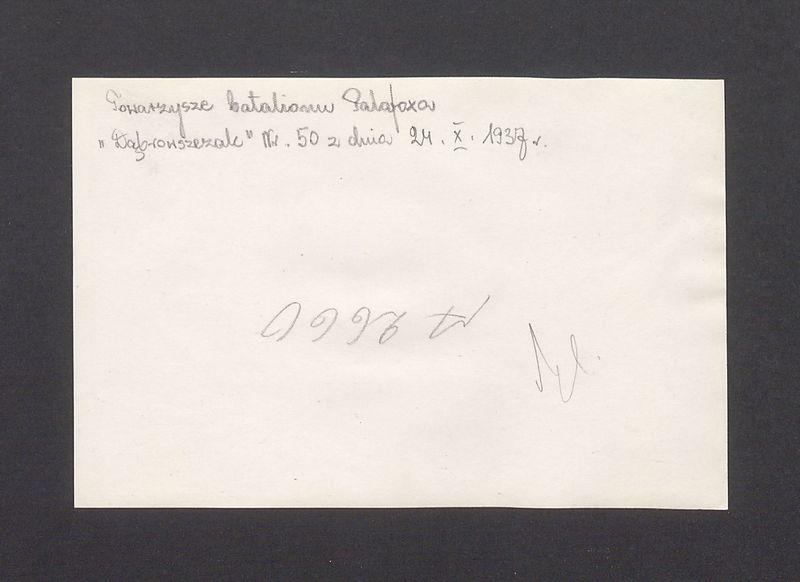 Towarzysze batalionu Palafoxa