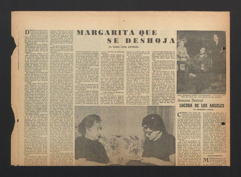 Margarita que se deshoja