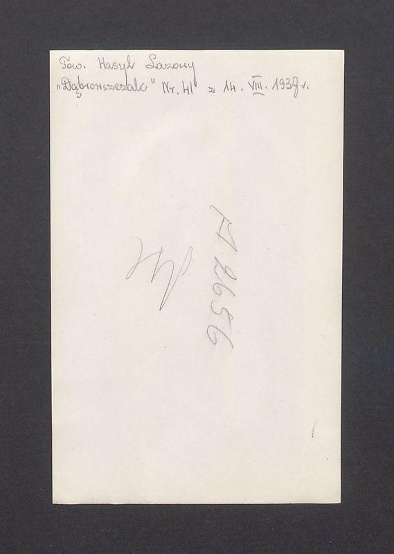 Towarzysz Wasyl Lazowy