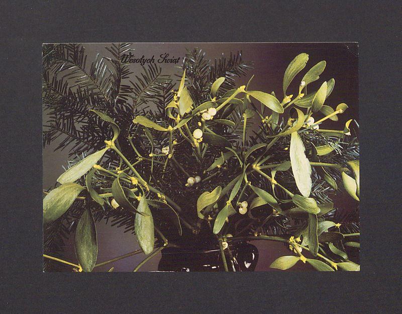 Z okazji Nowego Roku najlepsze życzenia [...]