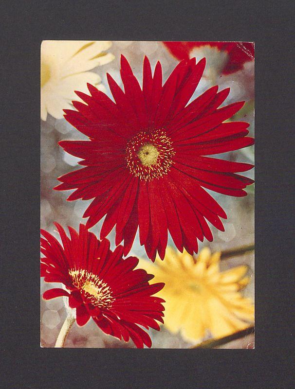 Najserdeczniejsze życzenia z okazji imienin [...]