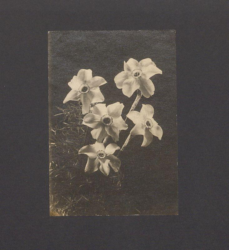 Najserdeczniejsze życzenia zdrowia [...]