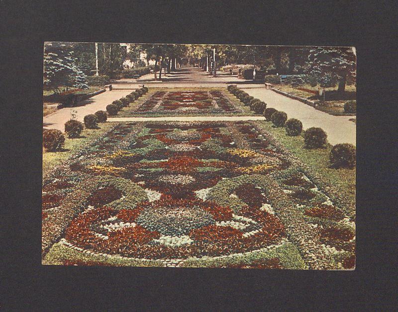 Kochani! Czuję się prawie dobrze [...]