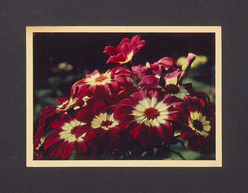 Drogi Tadeuszu! W dniu Twego Jubileuszu najserdeczniejsze życzenia [...]