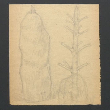 Stóg i ostrewki; Szkice