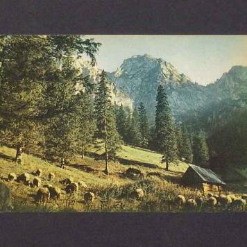 Tatry Zachodnie. Szałasy pasterskie na Hali Strążyskiej