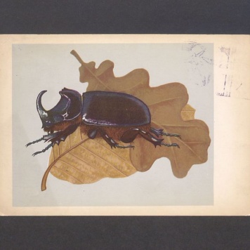 Kochana Basiu! Tydzień wytrzymałam [...]