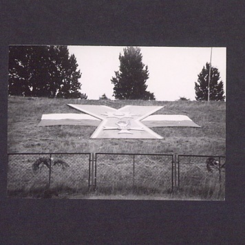 25-lecie Polskiej Rzeczypospolitej Ludowej.Skrzyżowane flagi położone na murawie.