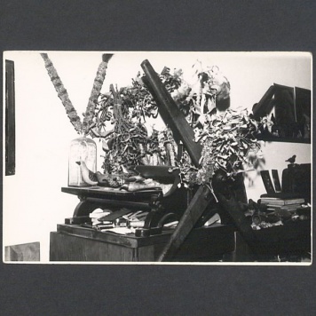 Tadeusz Kulisiewicz, fotografia