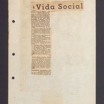 Vida Social