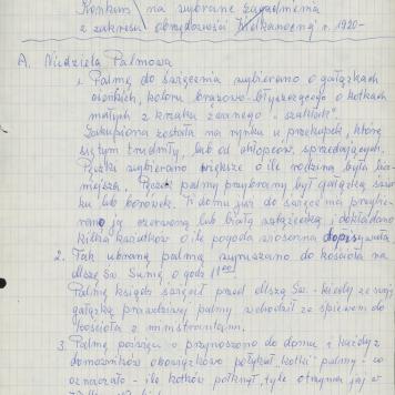 Niedziela Palmowa, 1920 r.