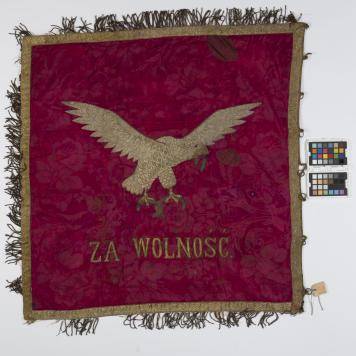 Sztandar Towarzystwa Powstańców i Wojaków w Przygodzicach