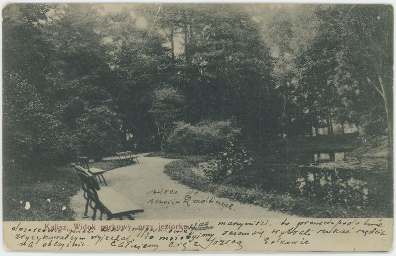 Widok parkowy przy jeziorku, Kalisz