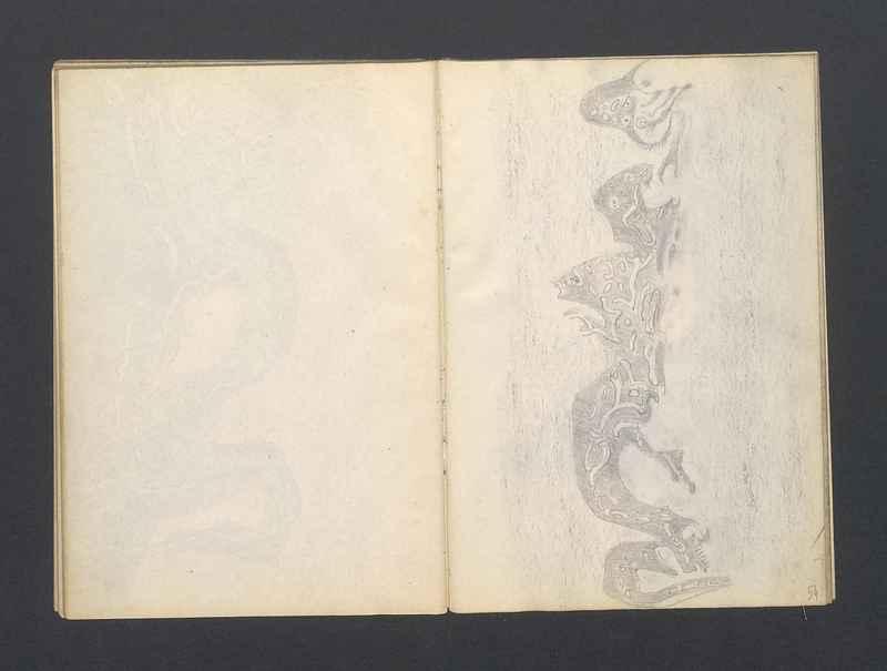 Krajobrazy spalone, Stalowe ptaki, część III