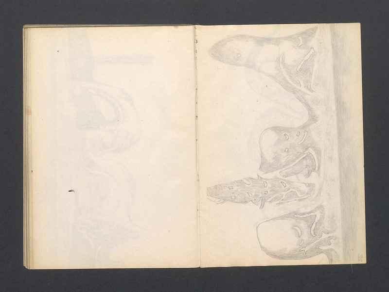 Krajobrazy spalone, Stalowe ptaki. część IV