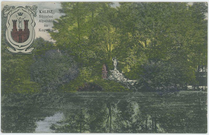 Strzelec Alpejski na Kogutku, Kalisz