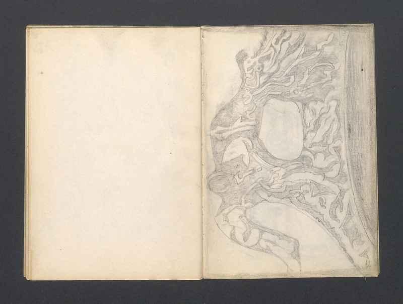 Krajobrazy spalone, Stalowe ptaki, część III