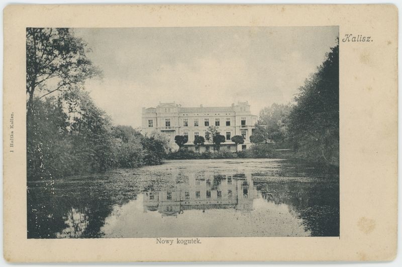 Nowy kogutek, Kalisz