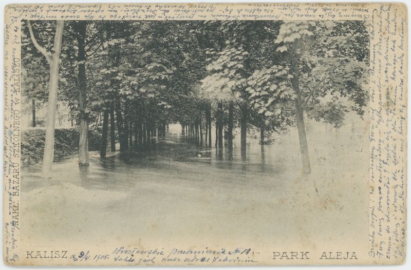 Park aleja, Kalisz
