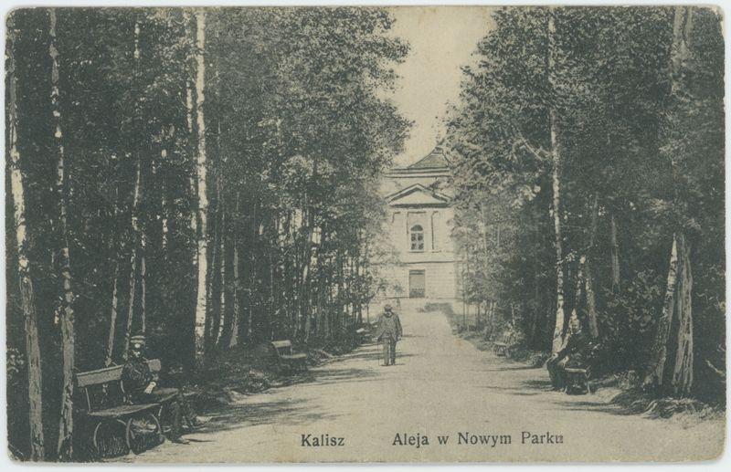 Aleja w nowym parku, Kalisz